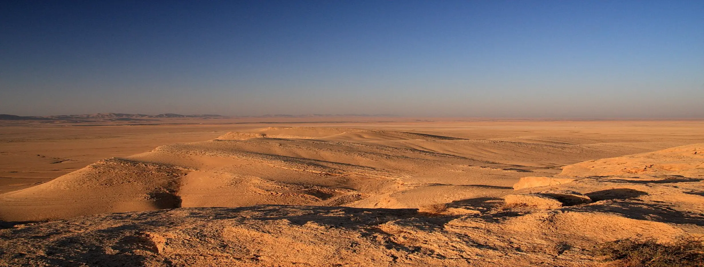 Image for Desert Safari